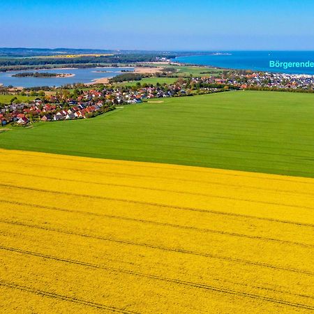 Villa Deichgraf 12 "Meerblick" Börgerende-Rethwisch Eksteriør billede